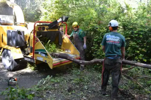 tree services Gages Lake